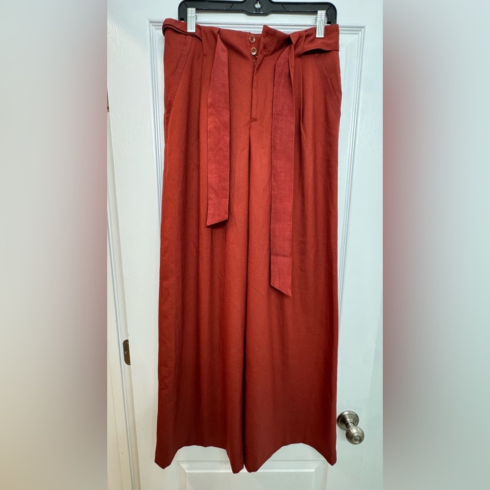 Anthropologie Rust Wide-Leg Pants